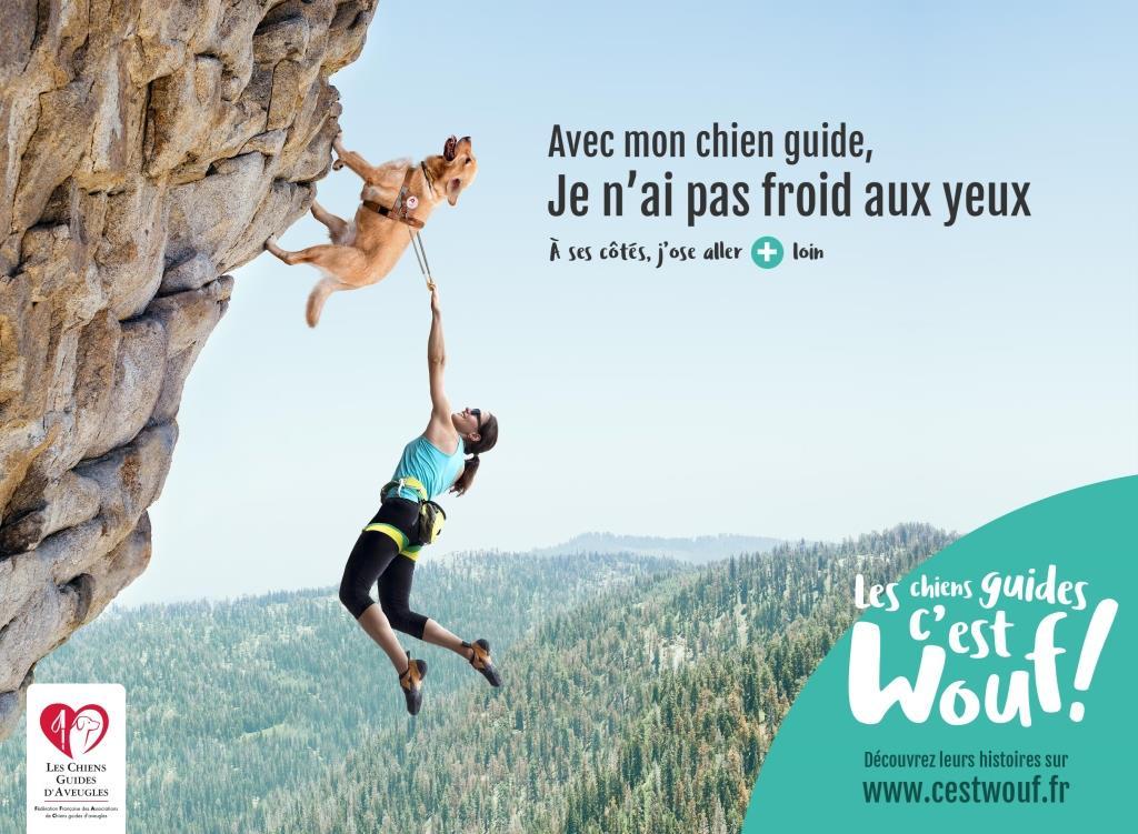 Chiens guides escalade