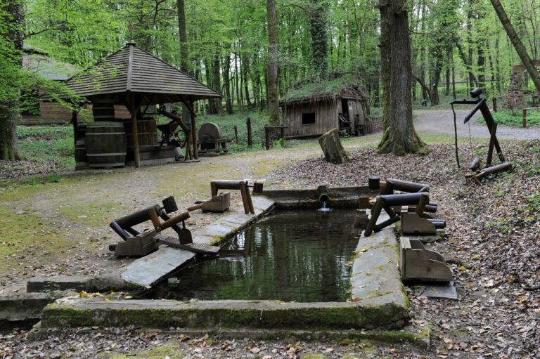 Tourisme et handicap dans le Grand Est : Notre sélection de sorties accessibles
