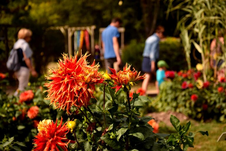 En photo principale : Parcourez l’un des nombreux jardins du site de Brocéliande - Vacances accessibles en Bretagne © Les Jardins de Brocéliande