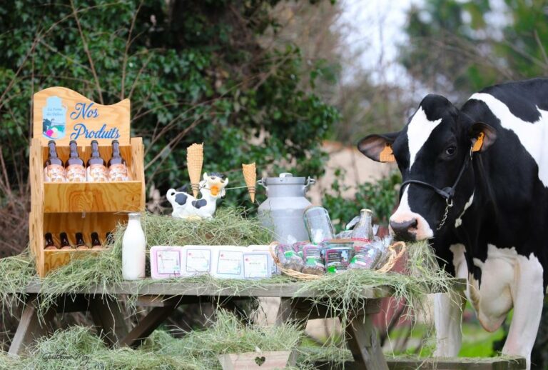 Visite accessible dans la Loire : Découvrez la Ferme des délices foréziens