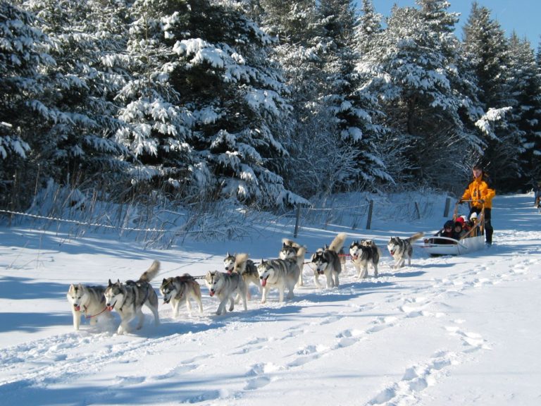 Le Mézenc : Nature, détente et sensations fortes