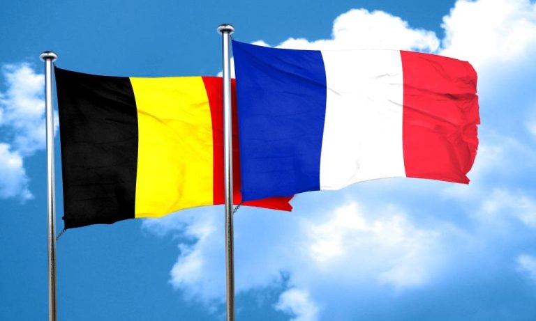 Français en situation de handicap en Belgique : une lettre adressée au Sénat