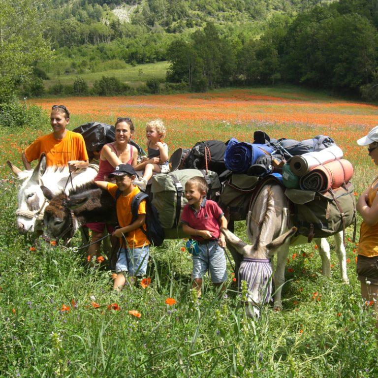 Parcs nationaux des Écrins et de la Vanoise : éveiller tous les sens pour découvrir la nature