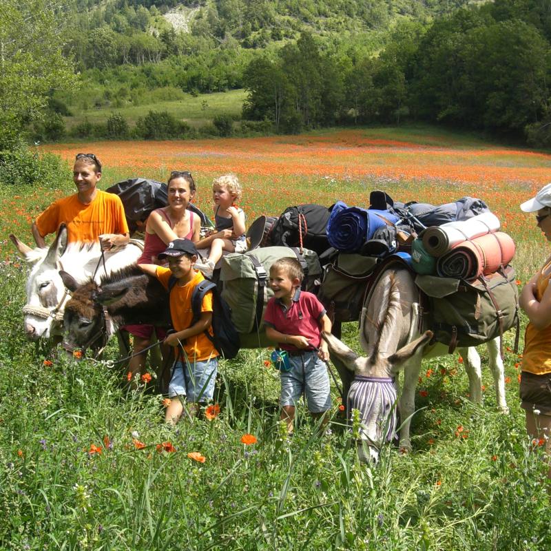 Parcs nationaux des Écrins et de la Vanoise : éveiller tous les sens pour découvrir la nature