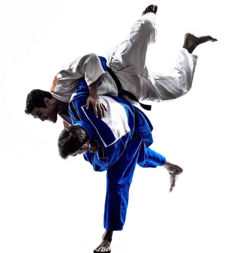 para judo moisson de médaille pour la France